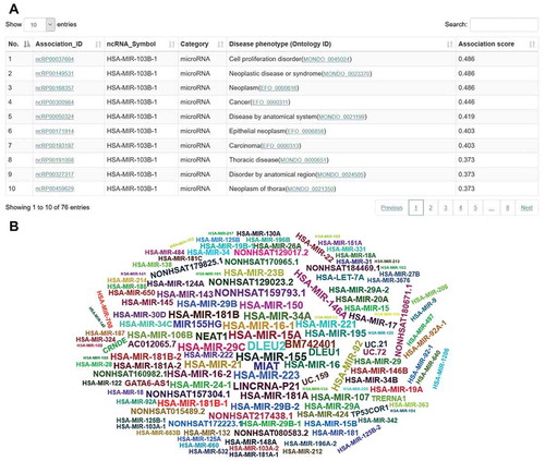 Figure 4. The web interface of browse and search applications. (A) A table indicates the prioritized disease phenotypes associated with hsa-mir-103b. (B) A word-cloud diagram shows the prioritized ncRNAs associated with the disease phenotype. Larger sizes and more central locations of the ncRNAs indicate a higher association score between the ncRNA and the disease phenotype.