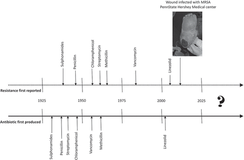 FIGURE 1 Historical timeline depicting the introduction of antibiotics and detected resistance.
