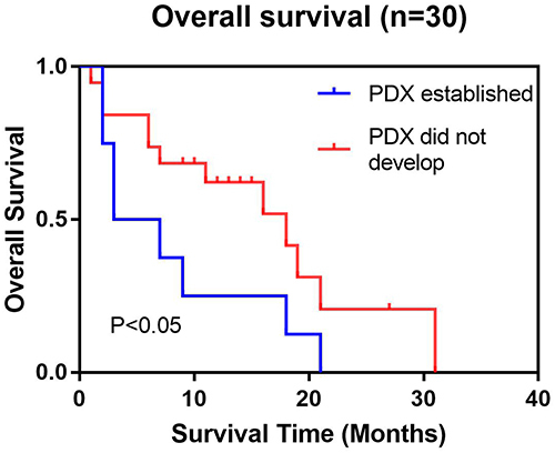 Figure 5 The survival rates of the patients corresponding to the successful establishment of PDXs were significantly lower. The survival curves of the groups with successful PDX establishment and those without successful PDX establishment showed significant differences in survival.