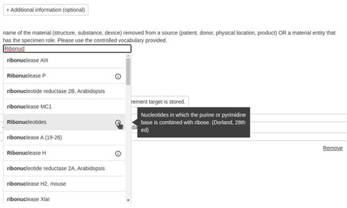 Figure 5. Screenshot of a part of the annotation tool demonstrating auto-complete functionality.