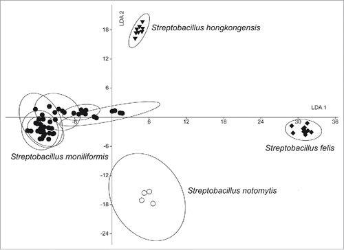 Figure 6. Linear discriminant analysis (LDA) analysis of 69 infrared spectra of 10 Streptobacillus isolates obtained by Fourier-transform infrared-spectroscopy (FT-IR) using OPUS Software (vers. 4.2, BrukerOptics, Ettlingen). The wave numbers 550–1800 and 2800–3200 cm−1 of second derivative spectra were selected and vector normalized. After a principal component analysis, the first 30 components were used for the LDA. In this LDA every isolate was defined as one group. Spectra of Streptobacillus notomytis AHL 370–1T are represented by circles, Streptobacillus moniliformis by dots, Streptobacillus hongkongensis DSM 26322T by triangles and Streptobacillus felis 131000547T by diamonds.