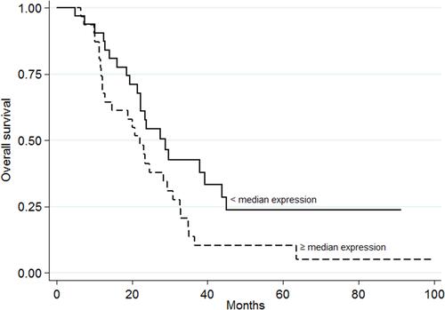 Figure 5 Overall survival with respect to miR-10a-5p expression. The continuous line represents patients with low miRNA expression values (<median value); the dashed line represents patients with high miRNA expression values (≥median value) (p =0.039).