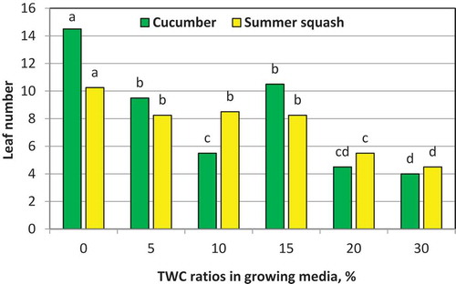 Figure 3. Influence of different TWC ratios in growing media on leave number of cucumber and summer squash plants at harvesting