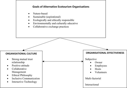 Figure 3. The developed model of the culture - effectiveness dynamic.
