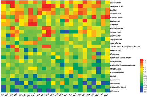 Figure 7. Heatmap of correlation between characteristic VFCs (OAVs >200) and bacteria (top 25 of relative abundance). The color changes in heatmap demonstrated the positive (red) or negative (blue) correlation between characteristic VFCs and bacteria.