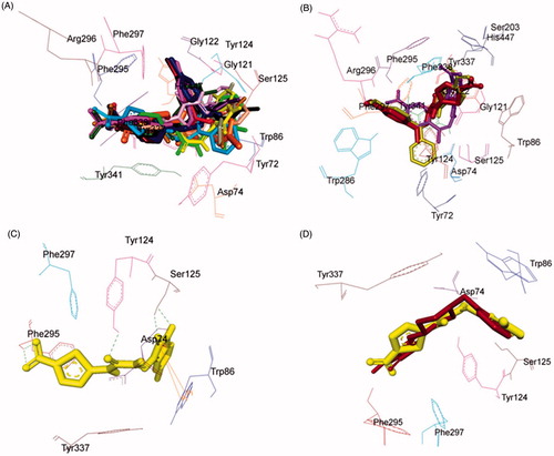 Figure 8. Superimposed AChE inhibitors docked into the binding pocket of AChE. Selected AChE residues are labeled in black. (A) Shared binding orientation of compounds 4–6, 9–17, and 19–21 are displayed in dark blue, dark brown, dark purple, red, orange, dark pink, dark green, light brown, light pink, grey, light orange, light blue, black, bright green, and yellow, respectively. (B) Shared binding orientation of compounds 7, 8, and 18 are displayed in maroon, light purple, and yellowish green, respectively. (C) Binding orientation of compound 21 (yellow) within the AChE binding pocket showing hydrogen bonding (green dashed lines) and π–π (orange lines) interactions. (D) Superimposed binding orientation of compound 21 (yellow) within the AChE binding pocket originally docked with donepezil (maroon).