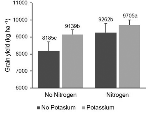 Fig. 7 Effect of N and K fertilization on rice grain yield (kg ha−1). Same letters within the same year indicate that values are not significantly different based on Fisher’s least square difference (P < 0.05)