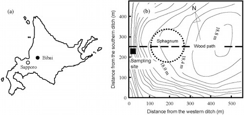 Figure 1  Locations of (a) Bibai-City in Hokkaido, Japan and (b) the sampling sites in the Bibai mire. Contour lines indicate every 20 cm difference a.s.l. (after Ito et al. 2001) complemented with measured data on a 50 m × 50 m grid.