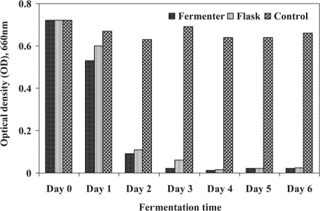 Figure 5. Optical density (turbidity) in microbially treated sludge using fermenter and shake flask.