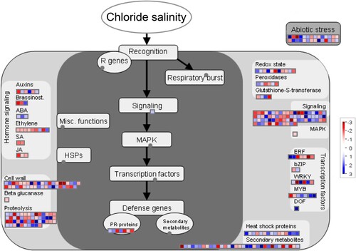 Figure 7. MapMan-based stress pathways of DEGs in response to chloride salinity in tobacco seedling leaves. Blue represents the up-regulation of DEGs (log2 fold changes) relative to the control under Cl– salinity treatment, and red represents down-regulation.