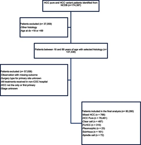 Figure 1 Consort diagram outlining the patient selection.