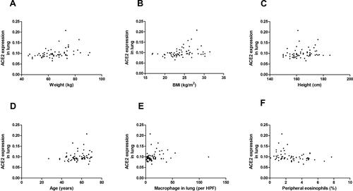 Figure 4 Correlation between ACE2 expressions and (A) weight, (B) BMI, (C) height, (D) age, (E) macrophages in lung and (F) peripheral eosinophils (%). n = 64; (A) r = 0.43 (95% CI, 0.20 to 0.61), P < 0.001; (B) r = 0.38 (95% CI, 0.14 to 0.58), P = 0.002; (C) r = 0.27 (95% CI, 0.01 to 0.49), P = 0.034; (D) r = 0.26 (95% CI, 0.01 to 0.48), P = 0.040; (E) r = 0.27 (95% CI, 0.02 to 0.49), P = 0.030; (F) r = −0.299 (95% CI, −0.51 to −0.05), P = 0.017.