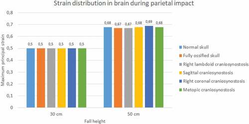 Figure 20. The maximum principal strain in the brain during parietal impact from 30 and 50 cm falls with different degrees of ossification in the sutures