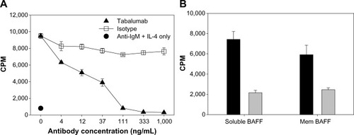 Figure 4 Tabalumab neutralizes soluble or membrane-bound human BAFF co-stimulation of B-cells.Notes: (A) Primary human CD19+ B-cells were co-stimulated with 25 ng/mL soluble BAFF plus anti-IgM/IL-4 in the presence of a dose response of tabalumab or isotype control. Proliferation was measured using 3H-thymidine incorporation at day 5. (B) Primary human CD19+ B-cells were co-stimulated with 2.3 ng/mL soluble BAFF or 5.5 ng/mL membrane-bound BAFF plus anti-IgM/IL-4. Gray bars represent cells treated with 1 μg/mL tabalumab, black bars represent cells treated with 1 μg/mL isotype control. Stimulation with anti-IgM/IL-4 alone produced a relatively low proliferative signal of 3640 ± 592 CPM. Proliferation was measured using 3H-thymidine incorporation at day 3. Data are presented as mean ± SD.Abbreviations: BAFF, B-cell activating factor; CPM, counts per minute; Ig, immunoglobulin; IL, interleukin; mem, membrane-bound; SD, standard deviation.
