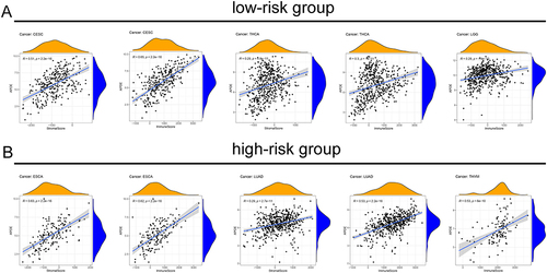 Figure 6 An analysis of the relationship between APOE expression and TME. (A) Relationship between APOE expression with stromal score and the immune score of the low-risk group. (B) Relationship between APOE expression with stromal score and the immune score of the high-risk group.