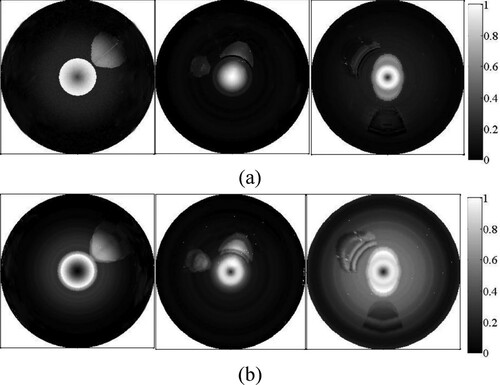 Figure 3. Results of forward simulation of vessel phantoms. (a) AOED; (b) Initial pressure.