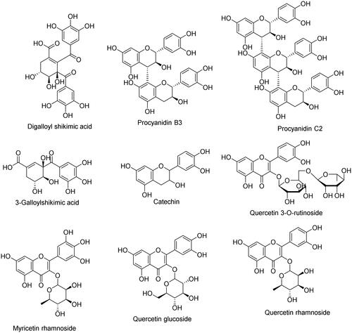 Figure 7. Chemical structure of the docked compounds.