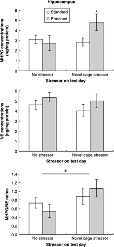 Figure 4.  Concentrations of MHPG and NE and MHPH/NE ratios within the hippocampus collected immediately after a 45-min novel cage stressor experience (novel cage stressor) or at a corresponding time in controls (no stressor) among mice that had been housed in enriched (EE) or standard (SE) conditions. Data are mean ± SEM. *p < 0.05 vs. SE mice, # p < 0.05 vs. mice that had not been stressed on test day; 2 × 2 between-groups ANOVAs, n = 10/SE no stressor group, n = 10/SE novel cage stressor group, n = 7/EE no stressor group, n = 9/EE novel cage stressor group.