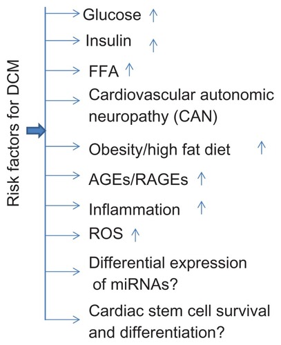 Figure 1 Different risk factors associated with diabetic cardiomyopathy.