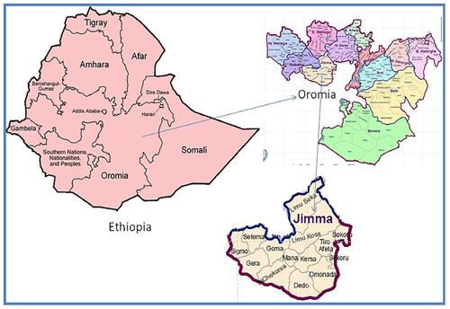 Figure 1 The Map of Jimma zone, Oromia Regional State.Note: Adapted from Copyright ©2019 Belew S, Suleman S, Mohammed T, et al. Quality of fixed dose artemether/lumefantrine products in Jimma Zone, Ethiopia. Malar J.2019;18:236. doi:10.1186/s12936-019-2872-1. Citation9
