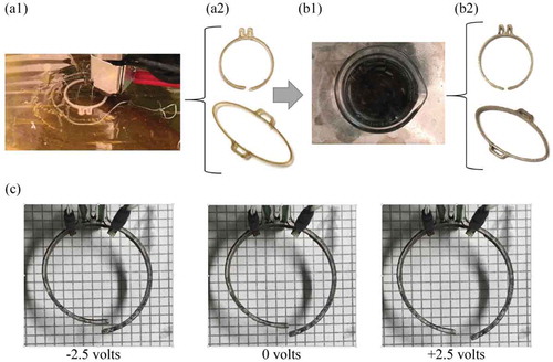 Figure 6. Fused-filament 3D printing for fabrication of custom-shaped IPMCs: (a1) 3D printing of custom geometry using precursor of an ion-exchange material, (a2) example structures 3D printed using precursor of an ion-exchange material (b1) functionalization of printed structures by hydrolysis with a strong base and swelling agent followed by plating of the functionalized structure by an impregnation reduction process, (b2) example custom shaped IPMCs, (c) actuation response of an example custom shaped IPMC. Figures (a2), (b2) and (c) reprinted with permission from [Citation212].