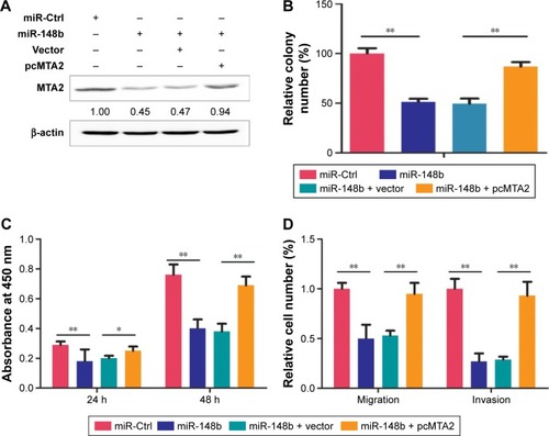 Figure 4 The tumor-suppression effects of miR-148b on C666-1 cell were partially reversed by MTA2 restoration.