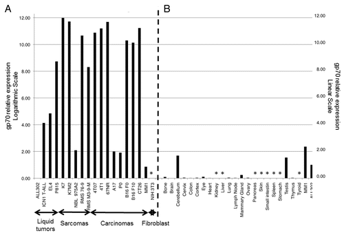 Figure 2. Relative expression levels of gp70-coding transcripts in mouse cancer cell lines and normal tissues. (A and B) Quantitative reverse-transcriptase PCR (qPCR) assays were performed using the gp70–1 primer pair (see also Figure 1) and results were combined to assess the relative amount of gp70-coding transcripts in a panel of common murine cancer cell lines (A) and normal mouse tissues (B). Gene expression was quantified by the 2−ΔΔCt method using cytochrome c1 (Cyc1) as housekeeping gene for normalization. The expression levels of gp70 in ALL302 cells was used as a reference for both neoplastic cells (A) and normal tissues (B). Relative gp70 mRNA levels are plotted on the Y-axis in logarithmic scale in panel A and in linear scale in panel B. Asterisks denote samples with undetectable gp70 expression.