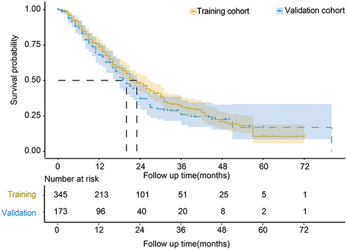 Figure 2 Comparison of overall survival between the training cohort and the validation cohort.