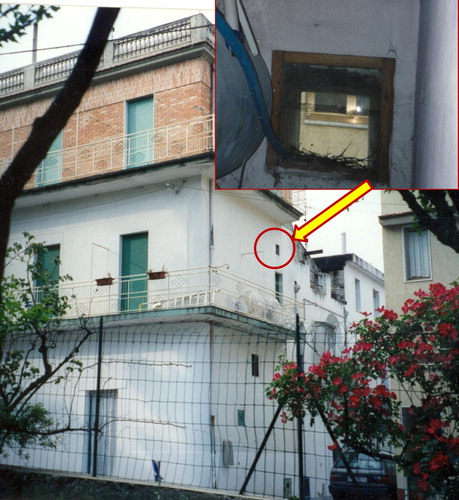 Figure 3. A pigeons’ nest in close proximity to an apartment, identified during an inspection to investigate a D. gallinae outbreak (original, M.A. Cafiero).