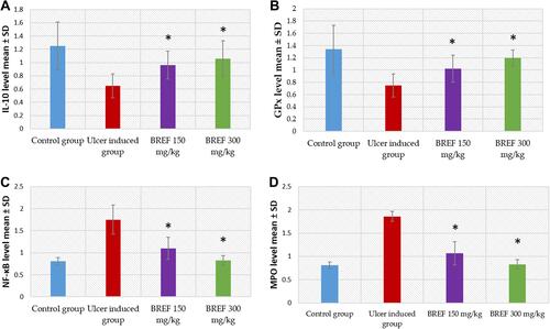 Figure 10 Bar chart showing the level of expressed genes of ulcer treated groups with 150 mg/kg and 300 mg/kg of BRFE compared to control group and ulcer induced group (untreated); (A) IL-10 gene, (B) GPx gene, (C) NF-κB gene and (D) MPO gene. The symbol * represents a significant change.