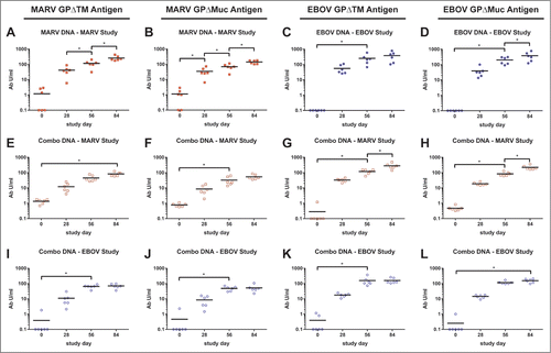 Figure 1. Comparison of GP-specific IgG responses of macaques vaccinated within individual or combination DNA vaccine over time. Groups of 6 cynomolgus macaques were vaccinated 3 times at 4 week intervals with individual optimized MARV (A-B) or EBOV (C-D) DNA vaccines or with a combination of all 4 filovirus vaccines (E-L) as part of 2 separate challenge studies (MARV study, EBOV study). Sera were collected from macaques prior to each vaccination (days 0, 28, 56) and 28 d after the final vaccination (day 84). IgG antibodies were assayed by indirect ELISA using HEK 293T-expressed and purified, soluble antigen representing full length MARV or EBOV GP minus the transmembrane regions (MARV GPΔTM antigen: A, E, I; EBOV GPΔTM antigen: C, G, K) or minus both the transmembrane region and the mucin domain (MARV GPΔMuc antigen: B, F, J; EBOV GPΔMuc antigen: D, H, L). Sera from single agent vaccine groups were tested against the homologous GP antigens only (A-D). To determine the antibody units/ml (Ab U/ml), each serum sample was compared to a standard reference curve of pooled cynomolgus macaque immune sera. The Ab U/ml for each dilution of the test NHP sera were interpolated from this standard curve. Black horizontal bars indicate the mean titers for each group. To evaluate differences in ELISA titers within vaccine groups over time, a repeated measures 2-way ANOVA with Tukey's multiple comparison test was used. Significant differences between study days are indicated (*) and P values for comparisons between days are: 0 vs 56 P < 0.0001; 56 vs 84, P < 0.0001 (A). 0 vs 28 P = 0.0086; 28 vs 56 P = 0.0056; 56 vs 84 P < 0.0001 (B). 0 vs 56 P = 0.0007 (C). 0 vs 56 P = 0.0015; 56 vs 84 P = 0.0048 (D). 0 vs 84 P = 0.0030 (E). 0 vs 56 P = 0.0140 (F). 0 vs 56 P = 0.0123; 56 vs 84 P = 0.0009 (G). 0 vs 56 P = 0.0048; 56 vs 84 P < 0.0001 (H). 0 vs 56 P < 0.0001 (I). 0 vs 56 P = 0.0003 (J). 0 vs 56 P = 0.0484 (K). 0 vs 56 P = 0.0167 (L).