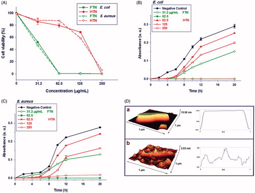 Figure 4. The antibacterial activity of nanoparticles. (A) The percent viability of bacteria at different concentration of FTN and HTN. The antibacterial of nanoparticles was dose-dependent. (B) the growth curve of Escherichia coli and (C) Staphylococcus aureus treated with different concentration of nanoparticles. (D) The 3-D AFM images of E. coli treated with (a) 0 μg/mL (control) and (b) 100 μg/mL of FTN. Control bacterial cell was viable with no observed membrane damage. While, at 100 μg/mL of nanoparticles, several membrane disruption were observed.