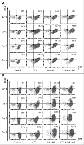 Figure 2. Enhanced cell surface expression of LFA-1 and CCR5 on CD28SA-activated CD4+ effector memory T cells. Human CD4+ TEMs were stimulated for 1 to 4 d with plate-bound anti-CD3 mAb (CD3, 5 μg/ml); NIB1412 (NIB1412, 10 μg/ml); anti-CD3 mAb and NIB1412 (CD3&NIB1412); control category included cells without any treatment (Control). Cells were harvested at indicated time points and stained with fluorochrome-conjugated anti-CD4 and anti-LFA (A) or anti-CD4 and anti-CCR5 (B) antibodies followed by flow cytometric analysis. (A) Population of CD4+LFA+ cells are shown in the upper right quadrant as percentages of total T cells. The cells are shown as percentages of total T cells in the upper right quadrant. (B) Population of CD4+CCR5+ cells are shown in the upper right quadrant as percentages of total T cells. Results are representative of four independent experiments.