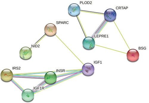 Figure 10. Hsa-let-7b network analysis with experimentally observed targets, T2D pathogenesis related.