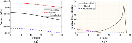 Figure 5. Radial distribution of fluid pressures (a) and relative concentrations (b) in all compartments along the injection point 10 s after the end of the injection. The shaded area in (b) shows the plume size in the interstitial tissue.