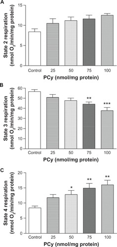 Figure 2 Effect of p-cymene (PCy) on the respiratory states 2 (A), 3 (B) and 4 (C) of liver mitochondria induced by glutamate/malate. Mitochondrial respiration rates were determined by O2 consumption using a Clark-type electrode.