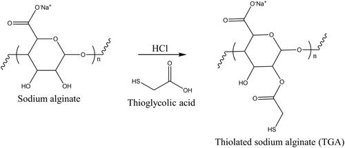 Figure 1 Thioglycolic acid esterification of sodium alginate.