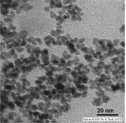 Figure 16.  TEM image of palladium nanoparticles used as catalysts for the Sonogashira coupling reaction (69). Reproduced with permission from John Wiley and Son.