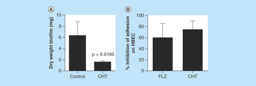 Figure 3.  Evaluation of the inhibition of Candida albicans virulence factors after treatment with 2-(2-(cyclohexylmethylene)hydrazinyl)-4-phenylthiazole at MIC.(A) Evaluation of the reduction in biomass of biofilm formed by C. albicans SC5314 after treatment with CHT. Statistical analyses were performed by Newman–Keuls multiple comparison test. (B) Percent inhibition of C. albicans adhesion treated for 1 h with CHT and fluconazole at MIC on human buccal epithelial cells. Data representative of two independent experiments with 12 isolates of C. albicans. The control group without treatment represents 100% of adhesion of yeasts on human buccal epithelial cells (0% of inhibition). There were no significant differences between fluconazole or CHT treatment (p > 0.05). Statistical analysis was performed by Newman–Keuls multiple comparison test. Results were expressed as mean ± standard error of the mean.CHT: 2-(2-(cyclohexylmethylene)hydrazinyl)-4-phenylthiazole; FLZ: Fluconazole; HBEC: Human buccal epithelial cells.
