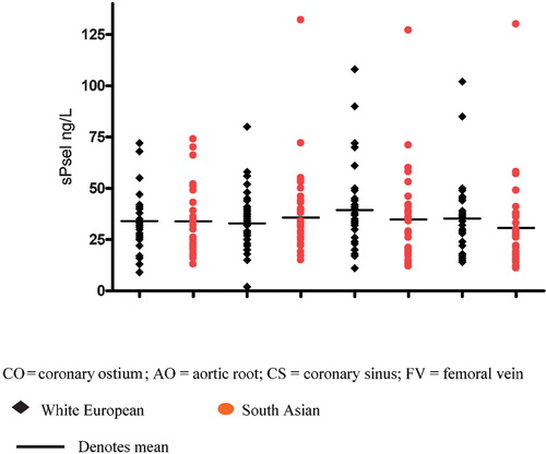 Figure 1 Comparison of soluble P‐selectin levels sampled at different sites between white European (n = 33) and South Asians (n = 36) with significant coronary artery disease (all P‐values NS).