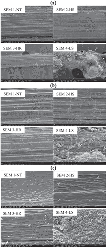 Figure 9. Abaca fibers NT, HR, HS and LS respectively, corresponding to (a) 300 µm, (b) 50 µm and (c) 5 µm of backscattered electrons.