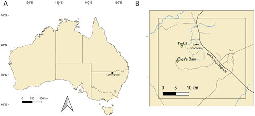 Fig. 1. Map of Australia showing the location of Lightning Ridge and nearby localities. A, Lightning Ridge. B, Tank 5 and Olga’s Dam sites. Adapted from Hart et al. Citation2021.