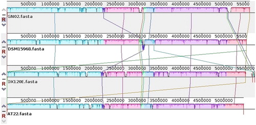 Figure 6. Synteny block of K. variicola genomes. The same color module represents the collinear region. Good co-linearity of the GN02 strain and other K. variicola strains and five locally co-linear blocks (LCBs) are shown.