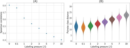 Figure 2. Main results for Experiment 1 with fine-grained labels. To evaluate the prediction that the pressure to label affects the representation of meaning, semantic representations of the same object categories were evaluated at varying degrees of labelling pressure. (A) Using representational similarity analysis (RSA), we observed a decreasing Spearman correlation between the predicted semantic space and the reference embedding space, indicating that the semantic space became more distorted as the pressure on labelling increased. (B) We confirmed that the basis for this distortion was items between classes moving apart from one another. As the pressure to label increased, the average distance between each pair of semantic concepts increased. This pattern of results indicates that to accommodate the pressure of labelling, the distance between individual concepts increased to reduce label confusability.