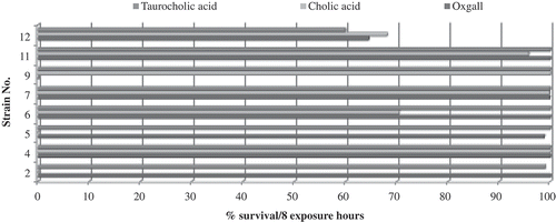 Figure 2. Bile tolerance of FIS (2–9) and RS strains (11–12). Results are expressed in per cent survival per 8-h exposure to a concentration of 0.3% w/v bile salt (oxgall, cholic acid, or taurocholic acid) (n = 2).Figura 2. Tolerancia a bilis de cepas FIS (2–9) y RS (11–12). Resultados son expresados en porcentaje de supervivencia por 8 horas de exposición a 0,3% p/v de sales biliares (oxgall, ácido cólico y ácido taurocólico) (n = 2).