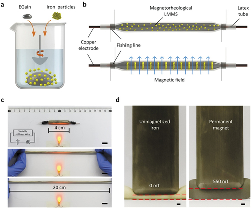 Figure 1. Variable stiffness wires based on LMMS. (a) Schematics showing the process for preparing the LMMS. (b) Schematic illustrating the stiffness changing mechanism of variable stiffness wire. (c) Stretching of variable stiffness wire in the energized state (in a strain of 400%). Scale bar, 1 cm. (d) Compressing of variable stiffness wires under non-magnetic and magnetic environment. Scale bar, 1 mm.