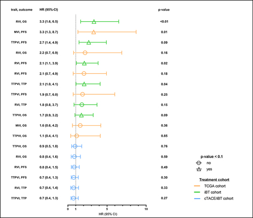 Figure 4 The impact of RVI and TTPVI imaging biomarkers and MVI trait in patients within the internal and external study cohorts. Hazard ratios (HR) and 95% confidence intervals (95%-CI) and p-values were calculated for the impact of RVI, TTPVI in the internal and external study cohorts as well and microvascular invasion (MVI) in the external study cohort and depicted as colored line graphs in the respective colors of the treatment groups: Orange – TCGA cohort, green – interstitial brachytherapy (iBT) cohort, and blue – conventional transarterial chemotherapy with consecutive iBT cohort (cTACE/iBT). Triangles show indicate a significant p-value for the respective Kaplan–Meier analysis (p<0.1).