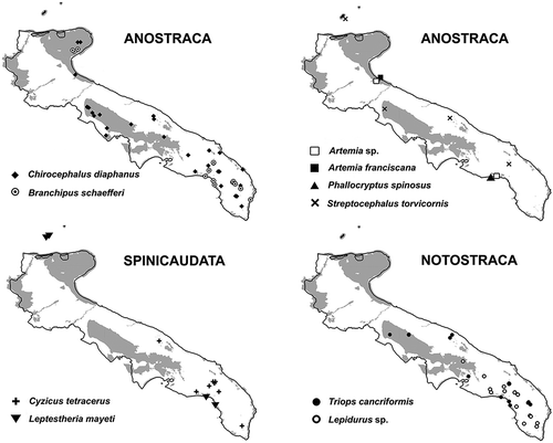 Figure 4. Distribution map of the large branchiopods in Apulia. Some symbols, related to single ponds, might be overlapped. The protected areas are shaded in grey.