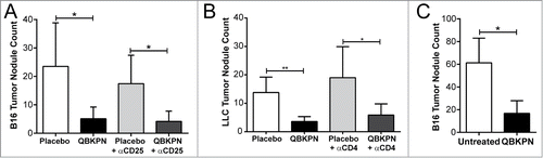 Figure 3. Adaptive immunity was dispensable for QBKPN anti-tumor efficacy. (A) B16F10 left lung surface tumor nodule counts of mice with or without CD25+ cell depletion, after administration of placebo or QBKPN from day −10 until euthanasia on day 18. (B) LLC left lung surface tumor nodule counts of mice with or without CD4+ cell depletion, after administration of placebo or QBKPN from day −10 until euthanasia on day 16. (C) B16F10 lung surface tumor nodule counts in Rag2 knockout mice administered with QBKPN or left untreated from day −10 until euthanasia on Day 14. Mean +/− SD shown, n = 4–5 mice per group. *, P < 0.05; **, P < 0.01 by Student's t-test.
