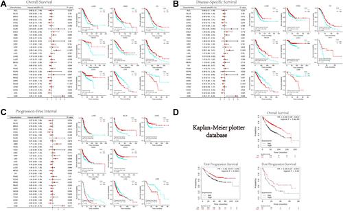 Figure 2 Relation between ICOS expression and patient prognosis of different cancers in TCGA database and Kaplan-Meier plotter database (A) survival curves of OS with significance in TCGA cancer types. (B) Survival curves of DSS with significance in TCGA cancer types. (C) Survival curves of PFI with significance in TCGA cancer types. (D) Relationship between ICOS and survival of LUAD patients in Kaplan-Meier plotter database. (*P < 0.05, **P < 0.01, ***P < 0.001).
